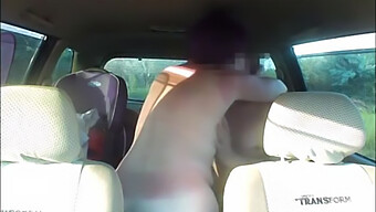 Married Amateur Couples Engage In Car Sex