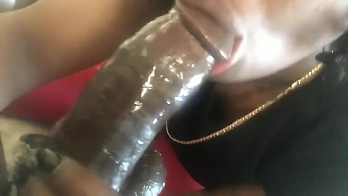 Intenso Placer Oral Con Una Negra Amateur Ébano