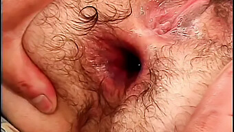 American Teen'S Hairy Ass Parts For Penetration And Oral Attention