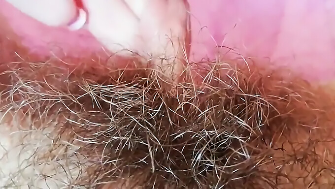 Close-Up Of A Hairy Vagina With A Big Clitoris And Lips